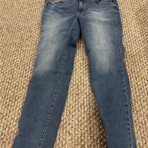 Torrid Skinny Jeans in Classic Blue